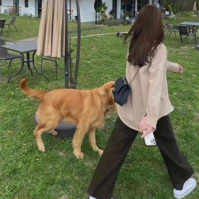 看不见的他们