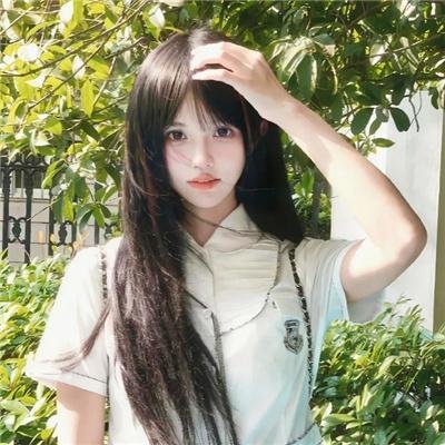 南方有乔木